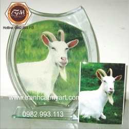 Làm Tranh Cát Theo Yêu Cầu - TOK3025
